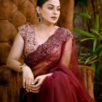 actress anusree in maroon net saree photos 001