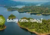 kerala forest